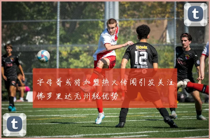 字母哥或将加盟热火传闻引发关注佛罗里达无州税优势